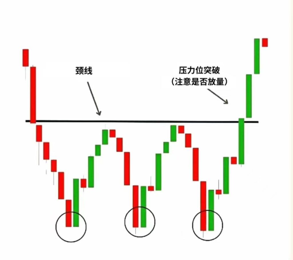 微信图片_20250324155621