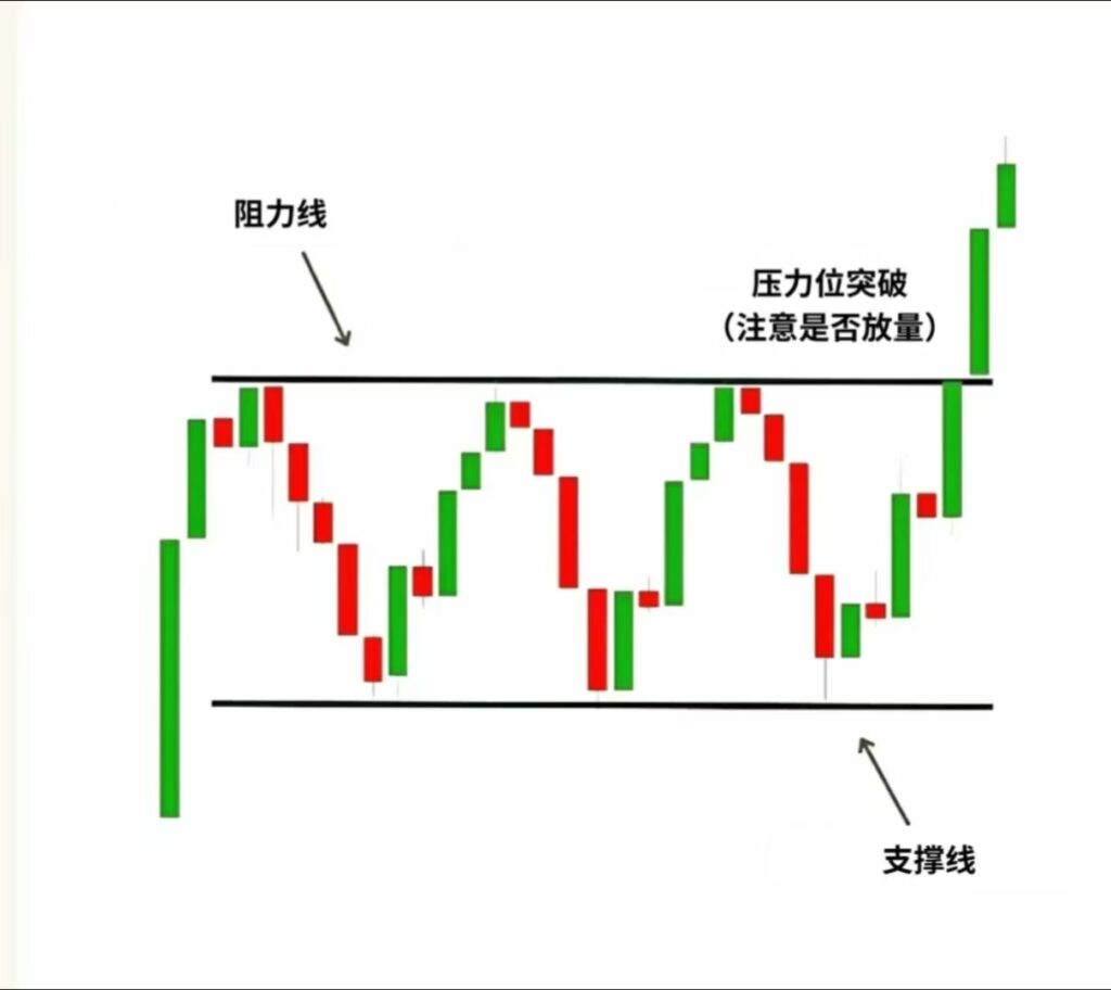 微信图片_20250324155627