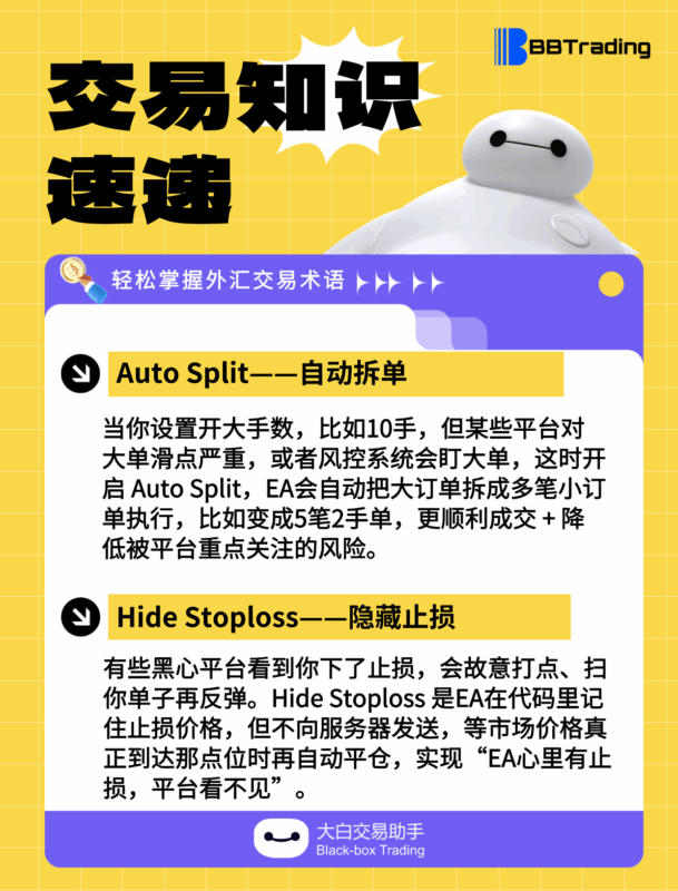 大白外汇英语交易术语——每日学习（25.06.09）-BBTrading