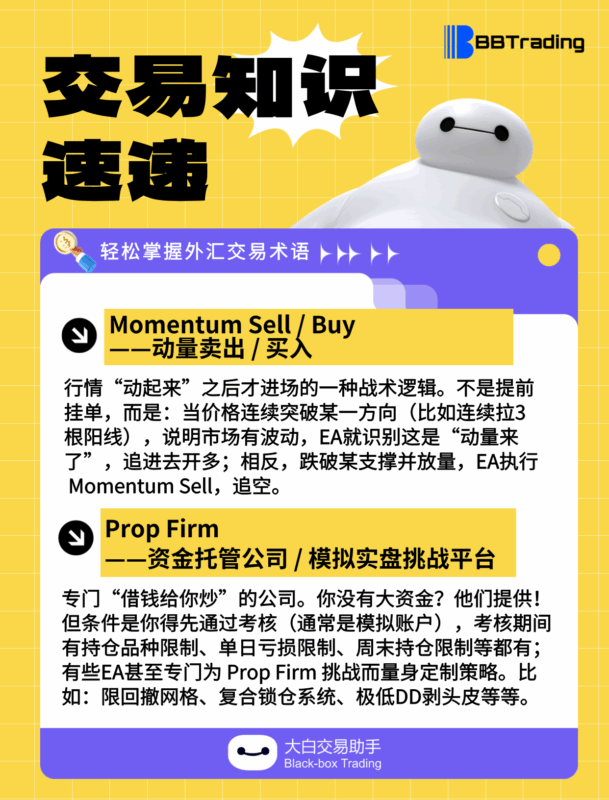 大白外汇英语交易术语——每日学习（25.06.12）-BBTrading