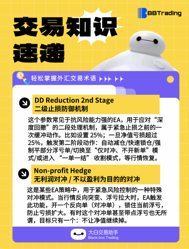 大白外汇英语交易术语——每日学习（25.06.16）-BBTrading