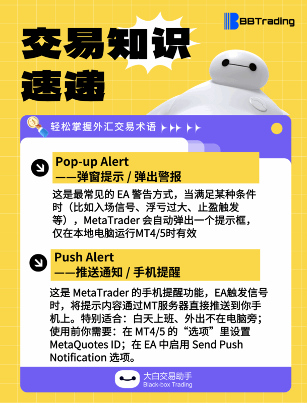 大白外汇英语交易术语——每日学习（25.06.23）-BBTrading
