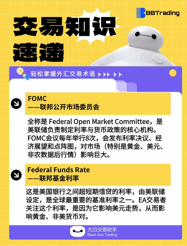 大白外汇英语交易术语——每日学习（25.07.25）-交易百科&新手问答论坛-社区发布-BBTrading
