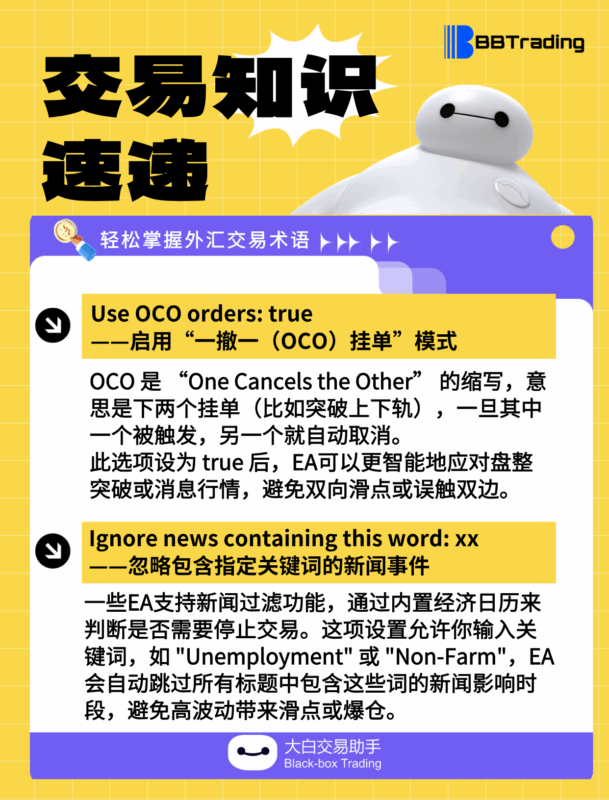 大白外汇英语交易术语——每日学习（25.07.29）-BBTrading