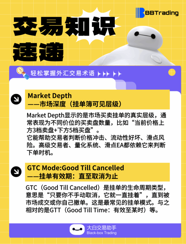 大白外汇英语交易术语——每日学习（25.08.07）-BBTrading