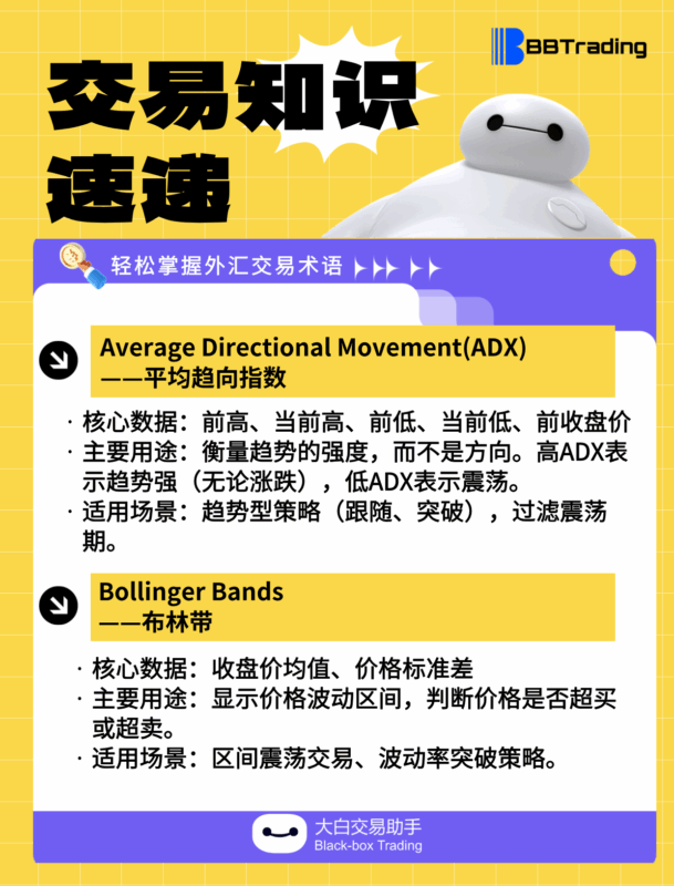 大白外汇英语交易术语——每日学习（25.08.11）-BBTrading