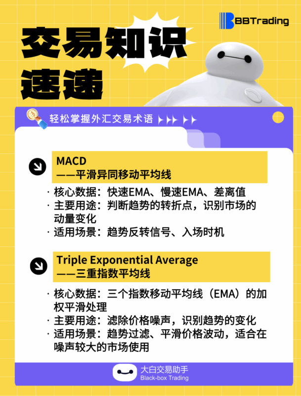 大白外汇英语交易术语——每日学习（25.08.18）-BBTrading