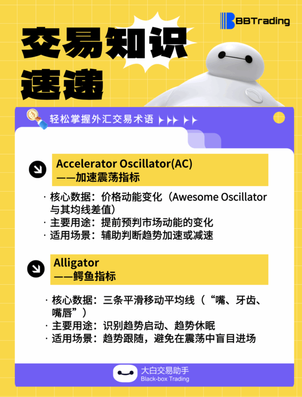 大白外汇英语交易术语——每日学习（25.08.25）-BBTrading