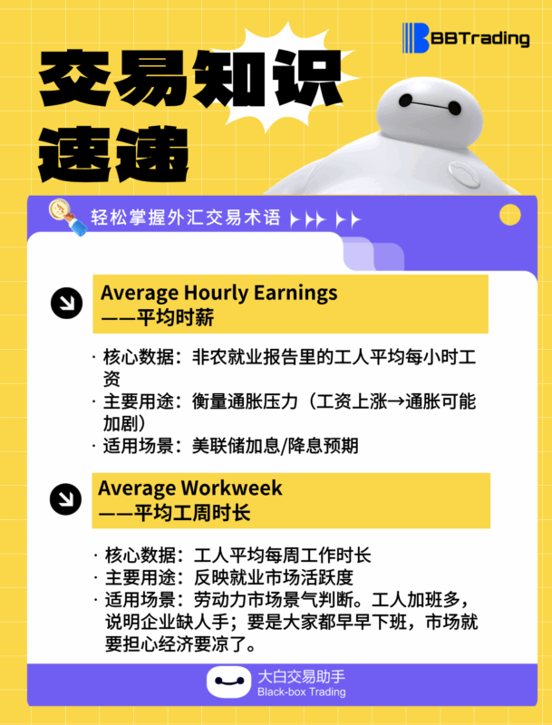 大白外汇英语交易术语——每日学习（25.09.15）-BBTrading