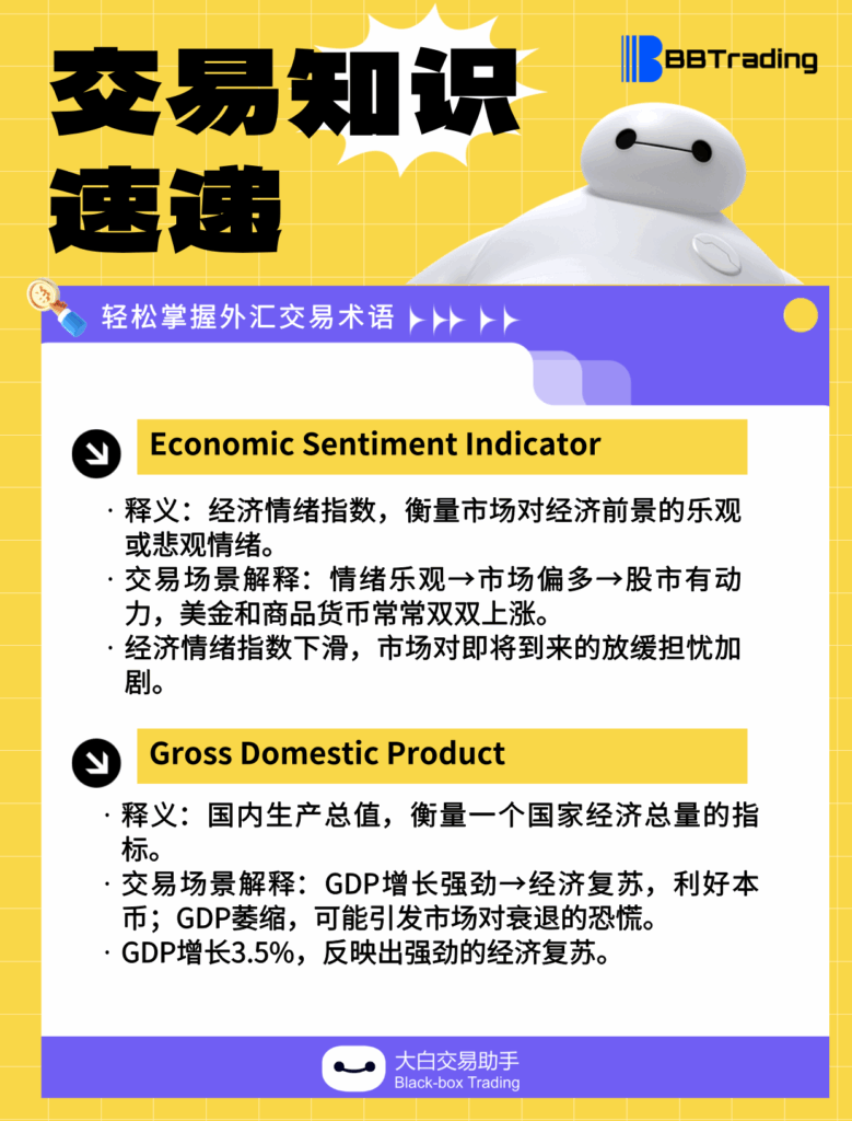 单词卡片__2025-10-20+11_49_52