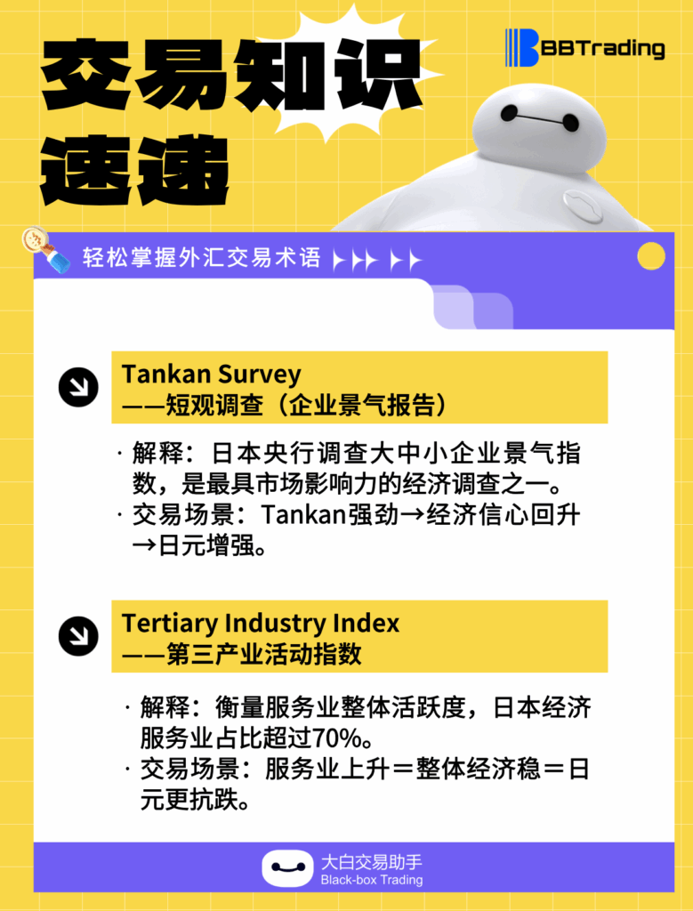 大白外汇英语交易术语——每日学习（25.11.19）-交易百科&新手问答论坛-社区发布-BBTrading