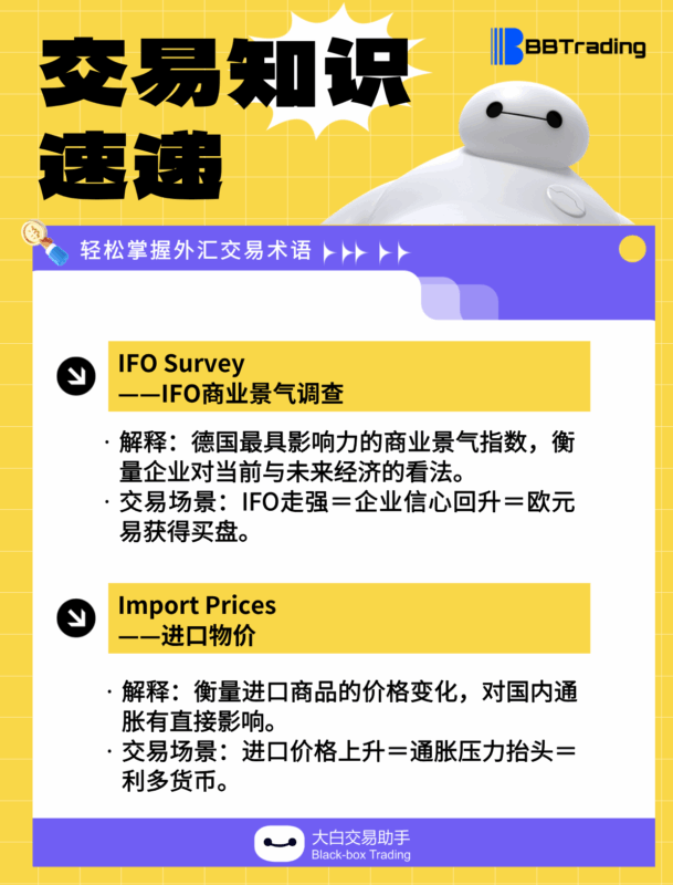 大白外汇英语交易术语——每日学习（25.11.24）-BBTrading