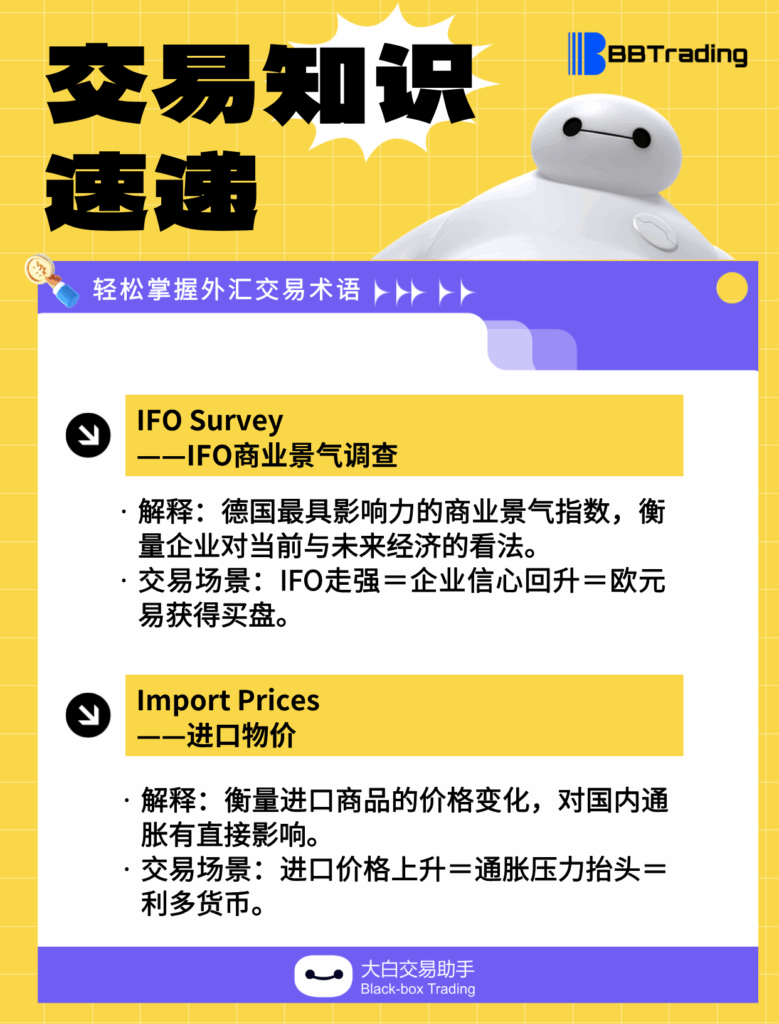 大白外汇英语交易术语——每日学习（25.11.24）-交易百科&新手问答论坛-社区发布-BBTrading