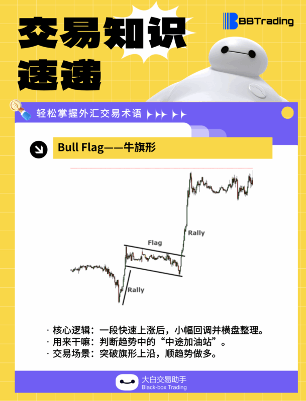 大白外汇英语交易术语——每日学习（26.01.05）-BBTrading