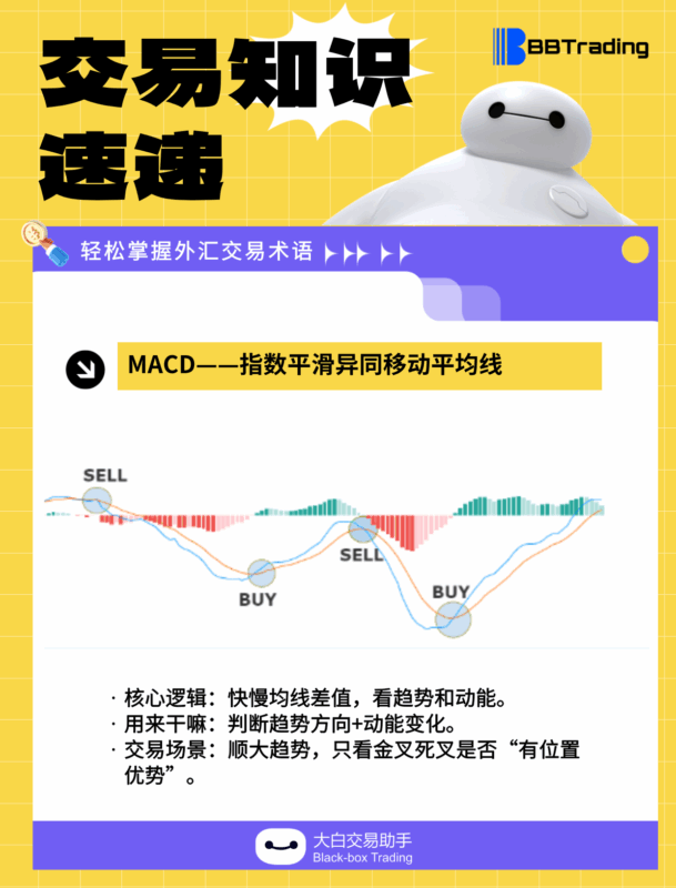 大白外汇英语交易术语——每日学习（26.01.08）-BBTrading