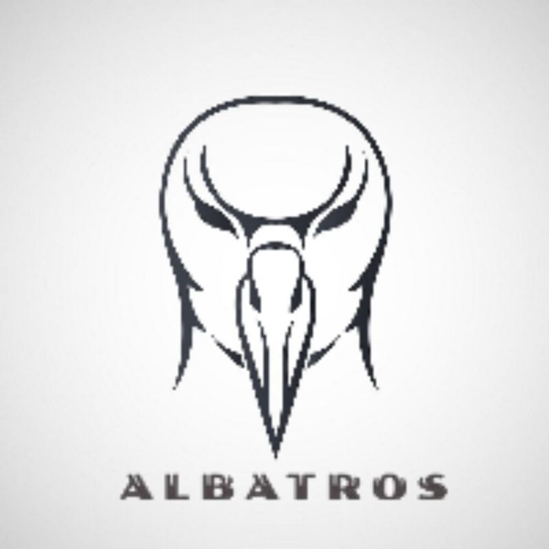 Albatross ver4量化交易程序 - 交易机器人 | 助力投资交易更好成功BBTrading