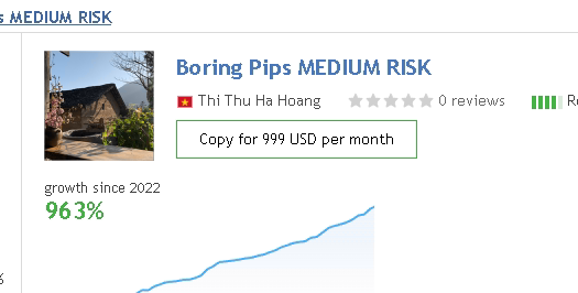 大白代找EA之Boring Pips量化交易程序 - 交易机器人 | 助力投资交易更好成功BBTrading